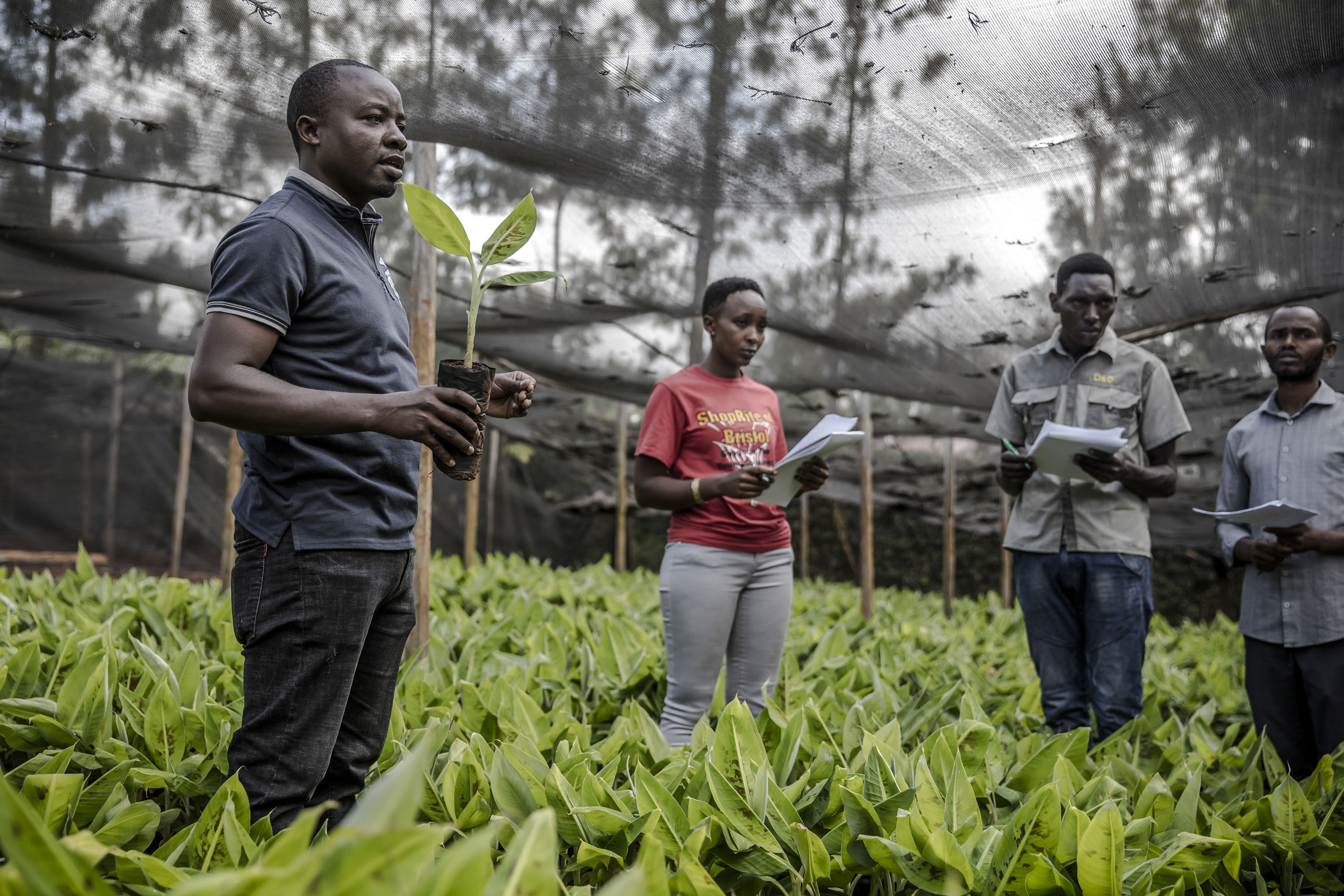 Livelihood, Entrepreneurship & Leadership Empowerment - Laici Mission Program