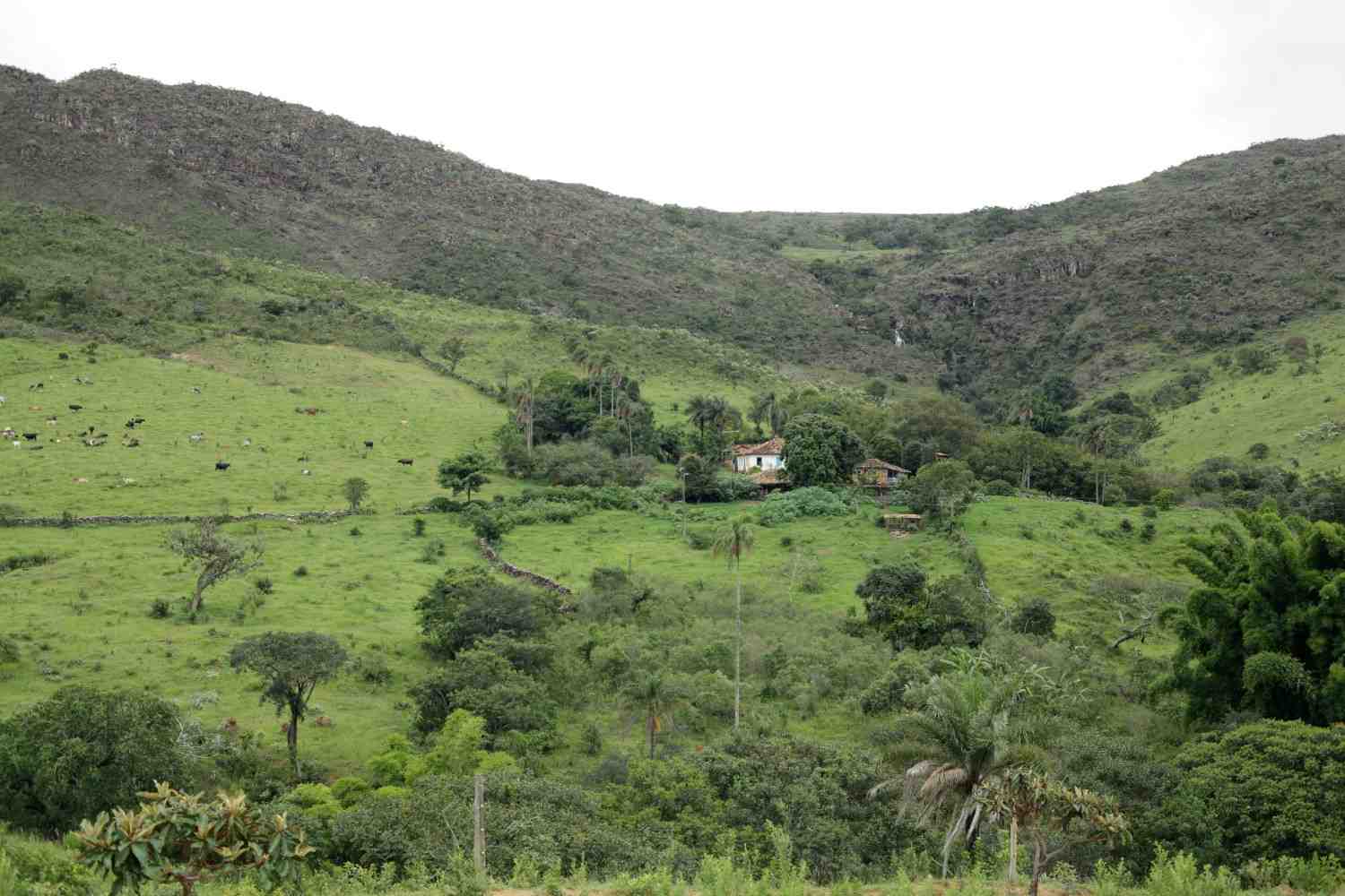 Laici Mission Centre Vision